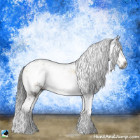 Horse Color:Gray Brown Onyx Sabino 