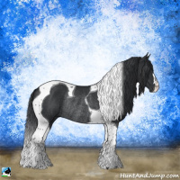 Horse Color:Black Tobiano Rabicano