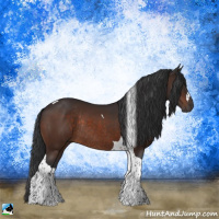 Horse Color:Brown Tobiano Rabicano 