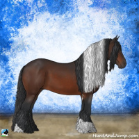 Horse Color:Brown Tobiano Rabicano 