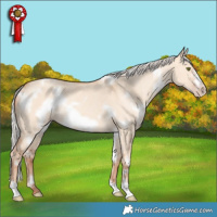 Horse Color:White Spotted Silver Amber Champagne Dun Frame Rabicano 