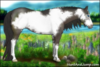 Horse Color:Liver Chestnut Frame 