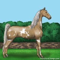 Horse Color:White Spotted Silver Smoky Black 