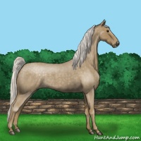 Horse Color:Silver Smoky Blue Roan