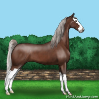 Horse Color:Silver Brown Roan Splash