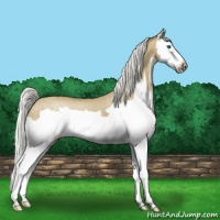 Horse Color:Silver Smoky Grullo Splash Frame 