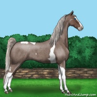 Horse Color:Silver Blue Roan Splash Tobiano