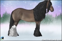 Horse Color:Brown Dun 