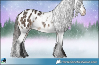 Horse Color:Brown Dun Sabino Blanket 