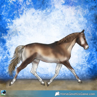 Horse Color:Liver Red Onyx 