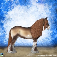 Horse Color:Liver Red Onyx Frame 