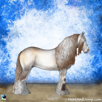 Horse Color:Gray Liver Red Onyx 