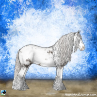 Horse Color:Silver Black Ice Sabino 