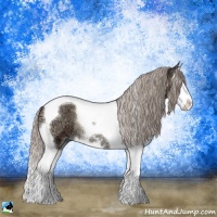 Horse Color:Silver Blue Onyx Ice Sabino Splash Tobiano
