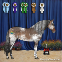 Horse Color:White Spotted Brown Dun 