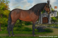 Horse Color:Brown 