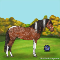 Horse Color:Brown Ice Tobiano