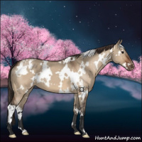 Horse Color:White Spotted Bay Dun Varnish 