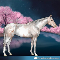 Horse Color:White Spotted Silver Bay Varnish 