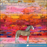 Horse Color:Silver Buckskin Dun Sabino Splash