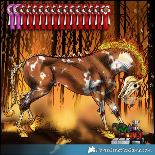 Horse Color:White Spotted Silver Bay 