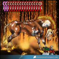 Horse Color:White Spotted Silver Bay 