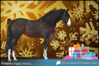 Horse Color:Brown Appaloosa 
