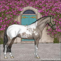 Horse Color:Liver Red Dun Appaloosa Brindle