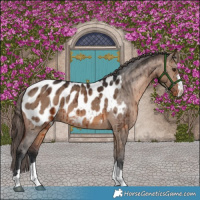 Horse Color:Brown Dun Blanket Brindle