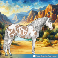 Horse Color:Red Dun Mushroom Appaloosa Brindle 
