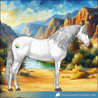 Horse Color:Liver Red Dun Mushroom Appaloosa Brindle