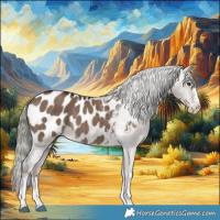 Horse Color:Liver Red Dun Mushroom Appaloosa Brindle 