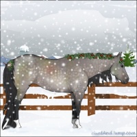 Horse Color:Platinum Brown Dun Brindle 