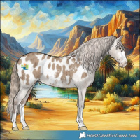 Horse Color:Liver Red Dun Appaloosa Brindle 