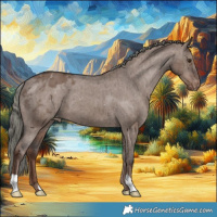 Horse Color:Liver Red Dun Mushroom Appaloosa Brindle
