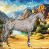 Horse Color:Liver Red Dun Mushroom Appaloosa Brindle 