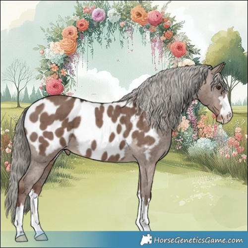 Horse Color:Liver Red Dun Mushroom Blanket Brindle 