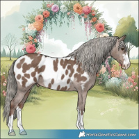 Horse Color:Liver Red Dun Mushroom Blanket Brindle