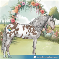 Horse Color:Liver Red Dun Mushroom Appaloosa Brindle 