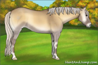 Horse Color:Silver Smoky Grullo Onyx 