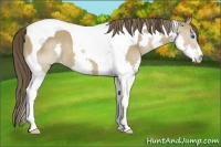 Horse Color:Classic Cream Champagne Splash Tobiano 