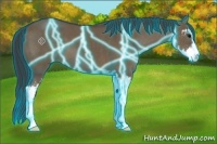 Horse Color:Thunderstruck Smoky Grullo Sabino 