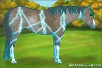 Horse Color:Thunderstruck Smoky Grullo Varnish 