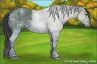 Horse Color:Black Ice Varnish 