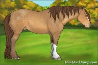 Horse Color:Sable Cream Champagne Varnish