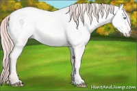 Horse Color:Perlino Dun