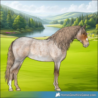 Horse Color:Chocolate Palomino Roan Frame 