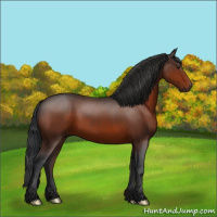 Horse Color:Brown 