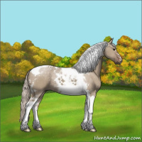 Horse Color:Silver Grullo Tobiano 
