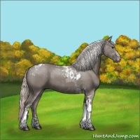 Horse Color:Silver Grullo Tobiano 